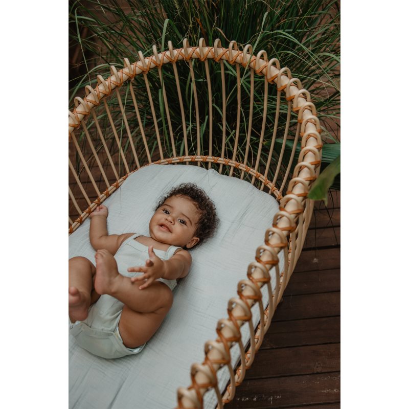 Suavinex Citronella Set набір проти комарів і кліщів 6 M+