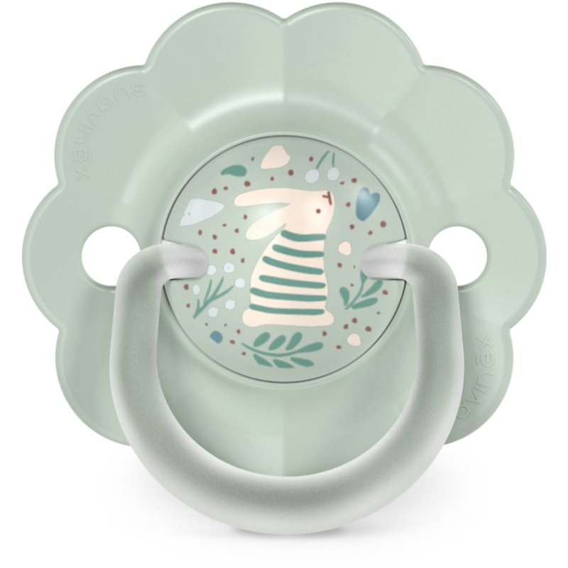 Suavinex Wonderland SX Pro Physiological 0-6 m lutt Green Bunny 1 tk