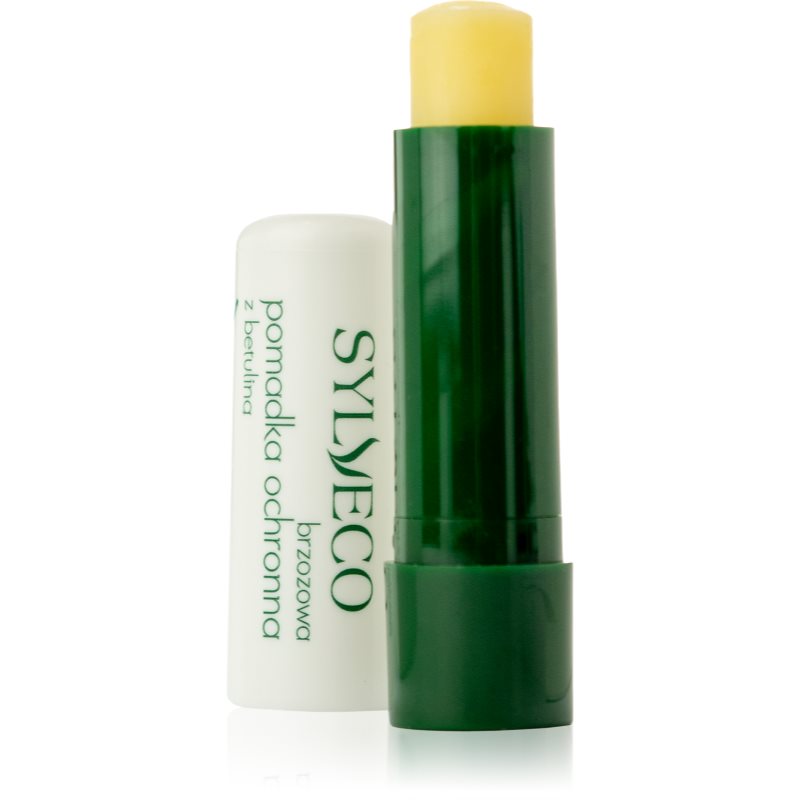 Sylveco Lip Care apsauginis lūpų balzamas su sviestmedžių aliejumi 4,6 g