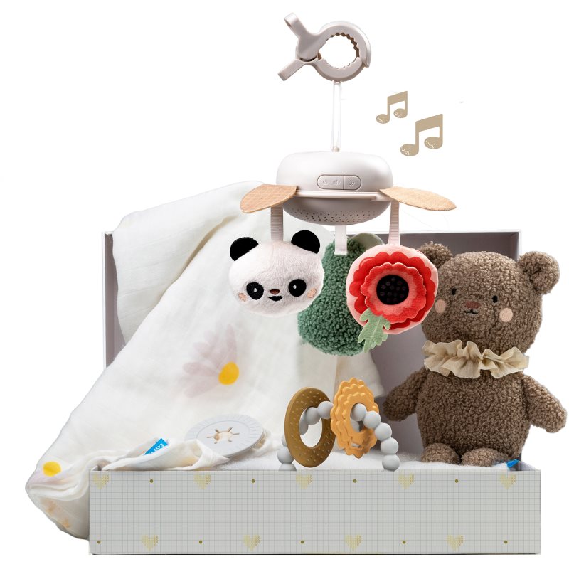 Taf Toys Luxury Newborn Kit Geschenkset für Babys