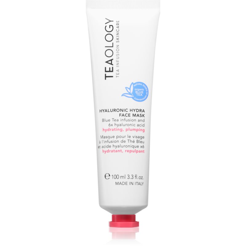 Teaology Hyaluronic Hydra Face Mask mască de hidratare profundă cu acid hialuronic 100 ml
