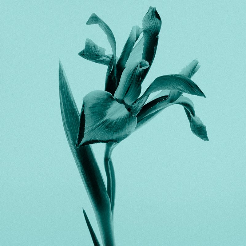

Tiffany & Co. Tiffany & Co. парфумована вода для жінок
