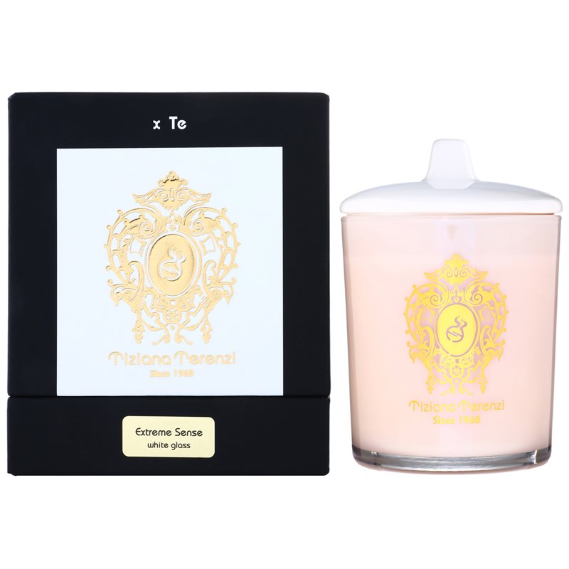 

Tiziana Terenzi Extreme Sense aроматична свічка маленька з кришкою