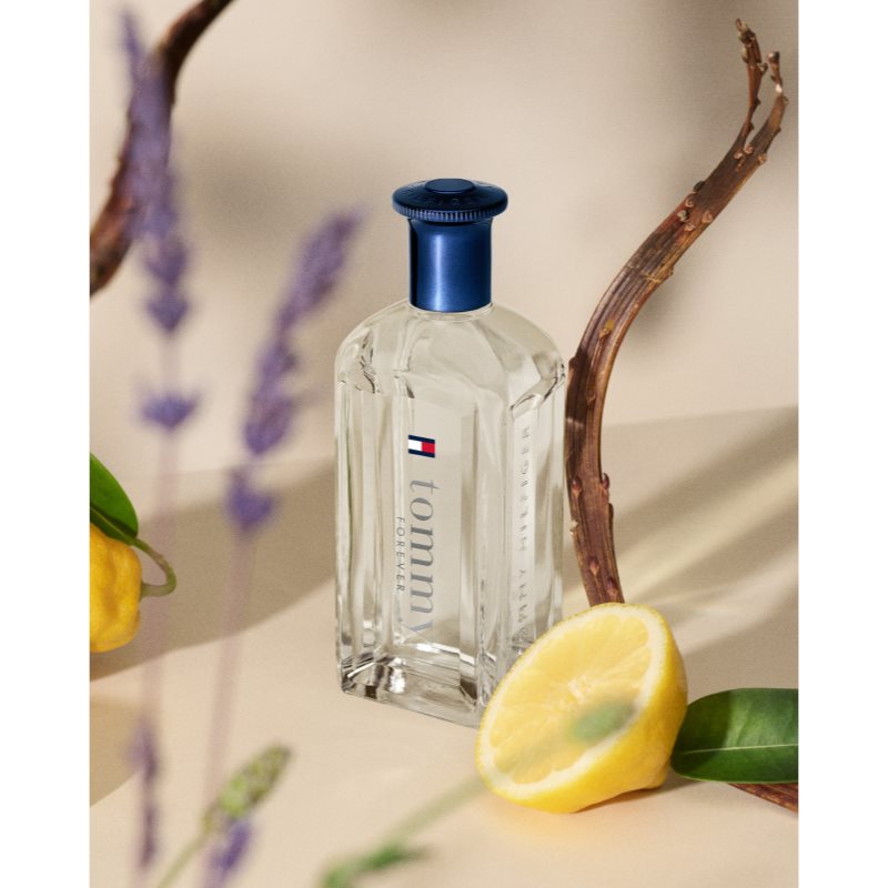 Tommy Hilfiger Tommy Forever toaletní voda pro muže 100 ml (obrázek 3)