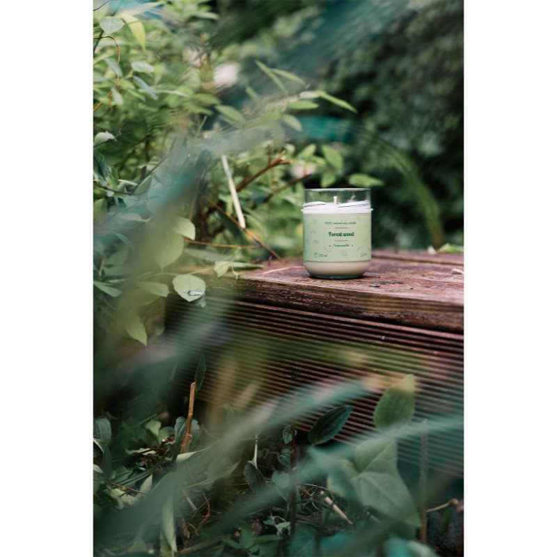 Tropicandle Forest Wood vonná svíčka 170 ml (obrázek 4)