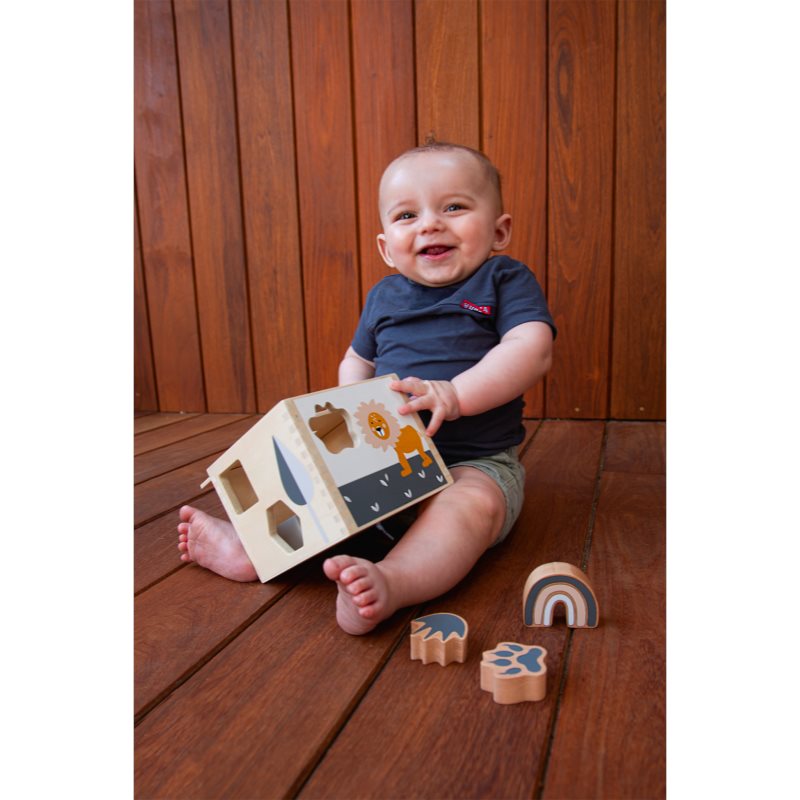 Tryco Wooden Shape Sorter Jouet En Bois 12m+ 1 Pcs