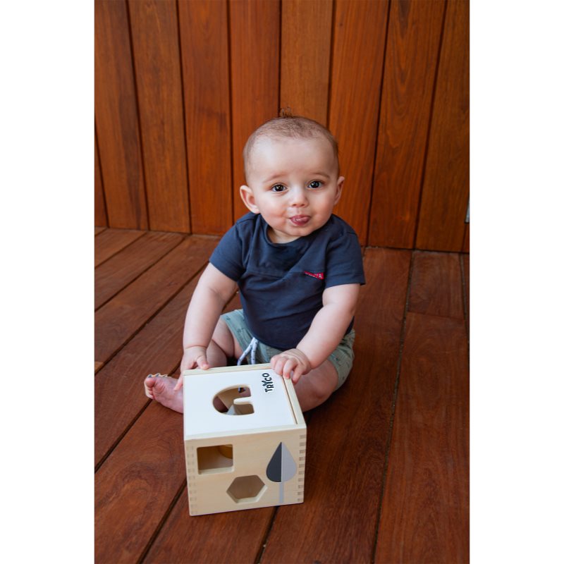 Tryco Wooden Shape Sorter Jouet En Bois 12m+ 1 Pcs