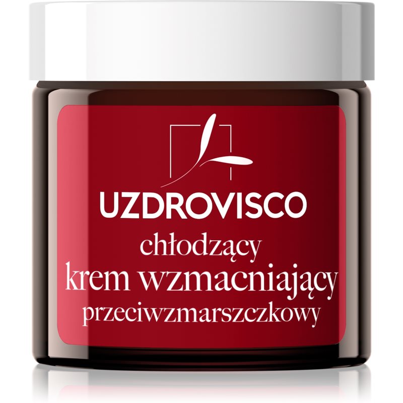 Uzdrovisco Cica Cooling Strengthening Anti-Wrinkle Cream crème visage anti-rides effet rafraîchissant 50 ml female