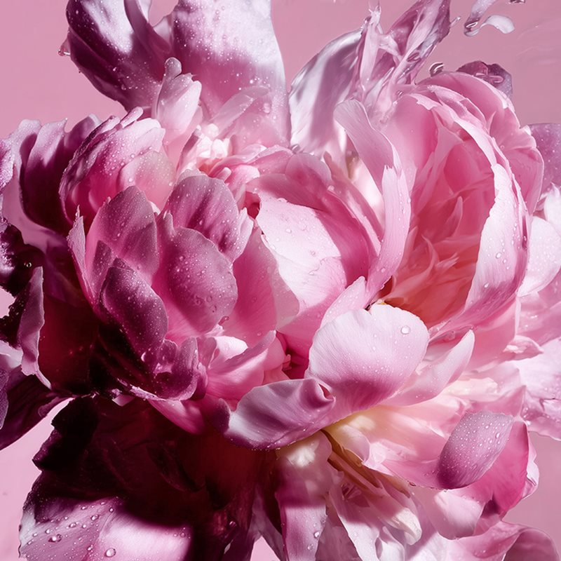 Viktor & Rolf Flowerbomb Pretty Peony parfémovaná voda pro ženy 100 ml (obrázek 5)