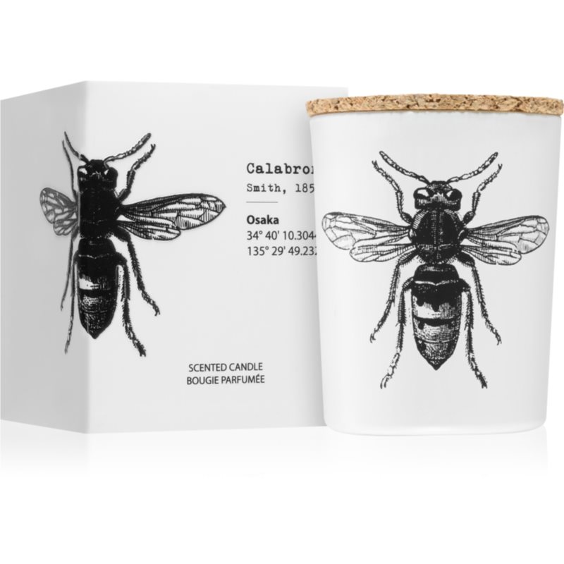 Vila Hermanos Insect Calabrone Scented Candle 75 G