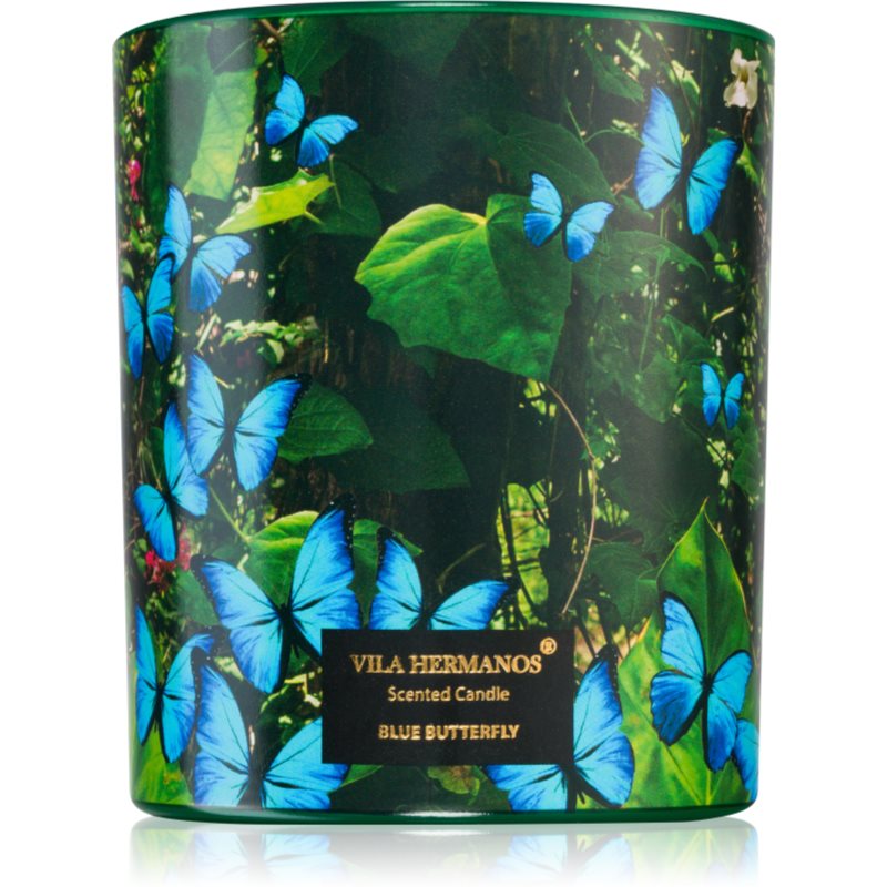 Vila Hermanos Jungletopia Blue Butterfly dišeča sveča 200 g