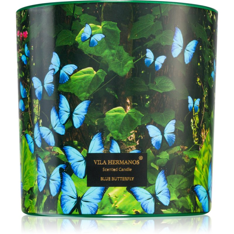 E-shop Vila Hermanos Jungletopia Blue Butterfly vonná svíčka 620 g