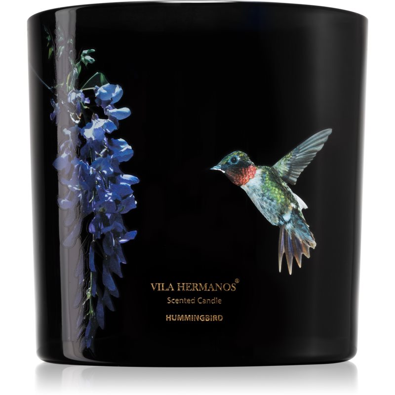 Vila Hermanos Jungletopia Hummingbird scented candle 620 g
