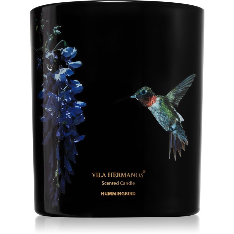 Vila Hermanos Jungletopia Hummingbird vonná svíčka 200 g
