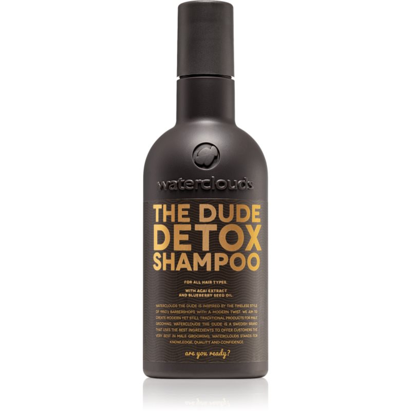 Waterclouds The Dude Detox Shampoo kasdienis detoksikacinis šampūnas 250 ml