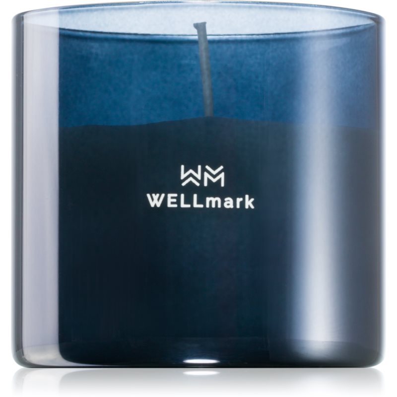 Wellmark Brave Night scented candle 1 pc
