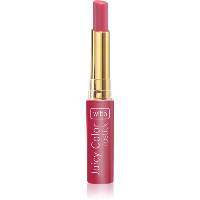 E-shop Wibo Lipstick Juicy Colour krémová hydratační rtěnka 2 v 1 04 1,4 g