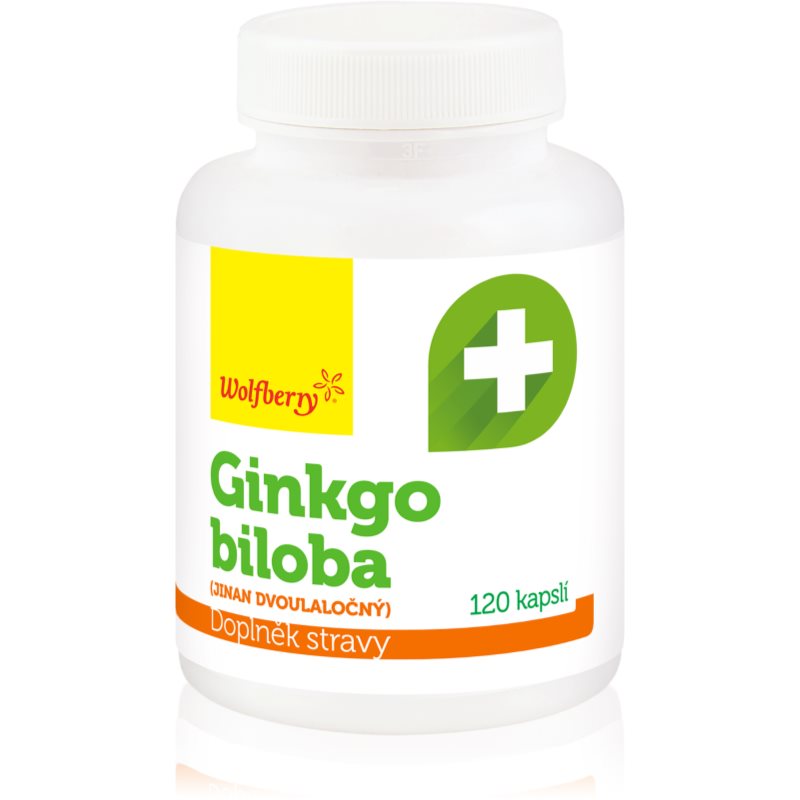 Wolfberry Ginkgo biloba 120 kapslí