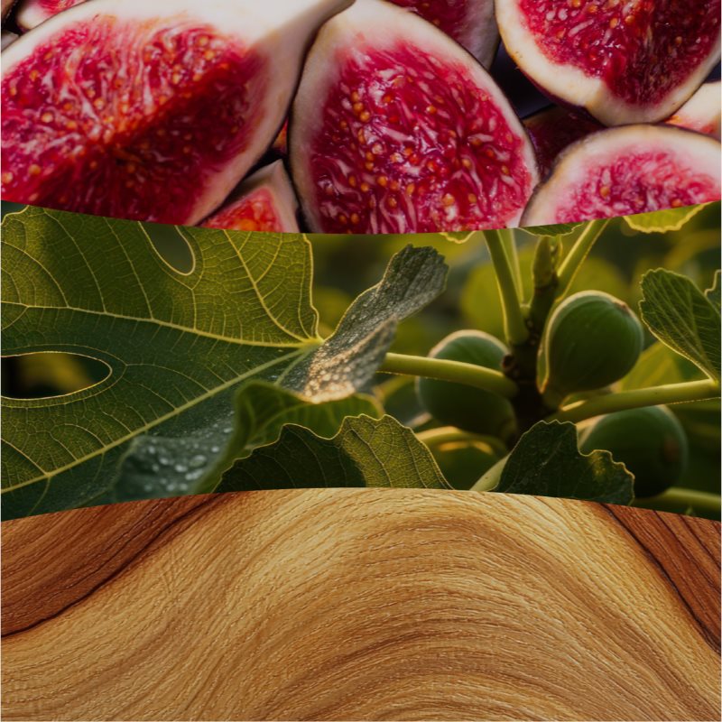 Woodwick Verdant Fig Duftkerze mit Holzdocht 610 g (Bild 4)