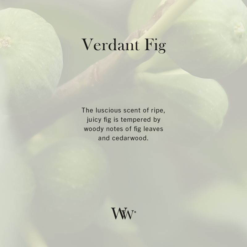 Woodwick Verdant Fig Duftkerze mit Holzdocht 610 g (Bild 5)