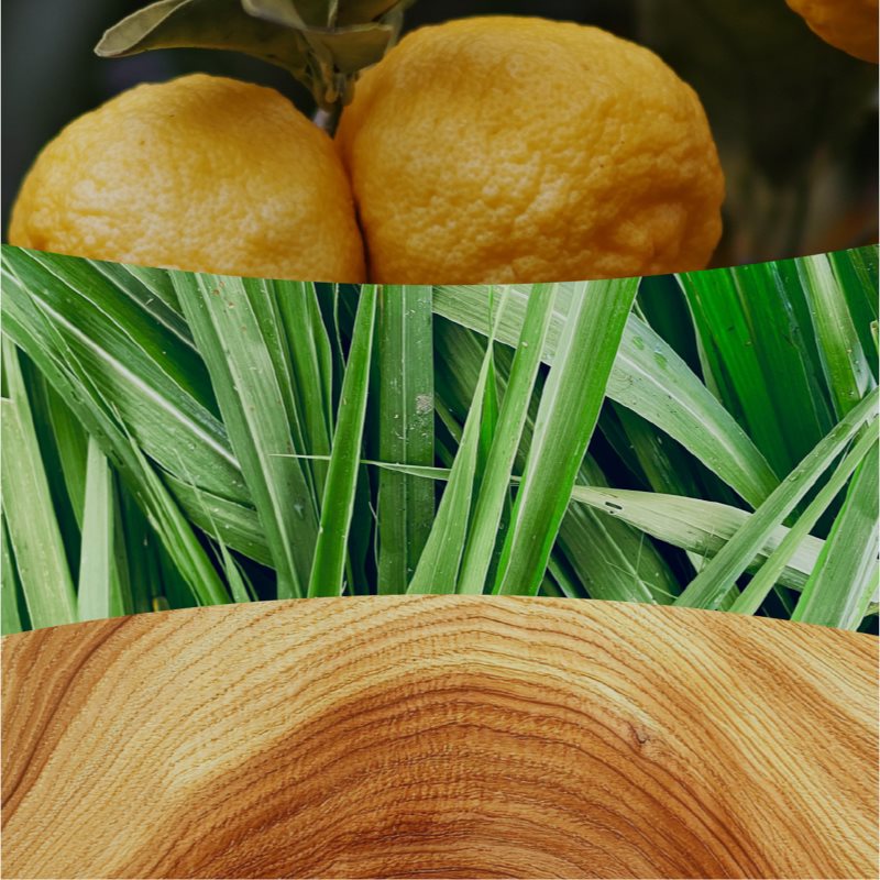 Woodwick Yuzu & Vetiver Duftkerze mit Holzdocht 453.6 g (Bild 4)