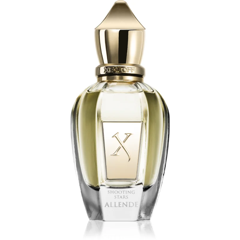 Flacon Allende parfum unisex