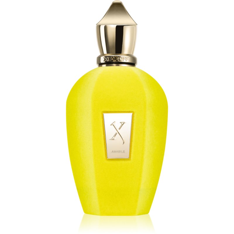 Photos - Women's Fragrance Xerjoff Amabile eau de parfum unisex 100 ml 