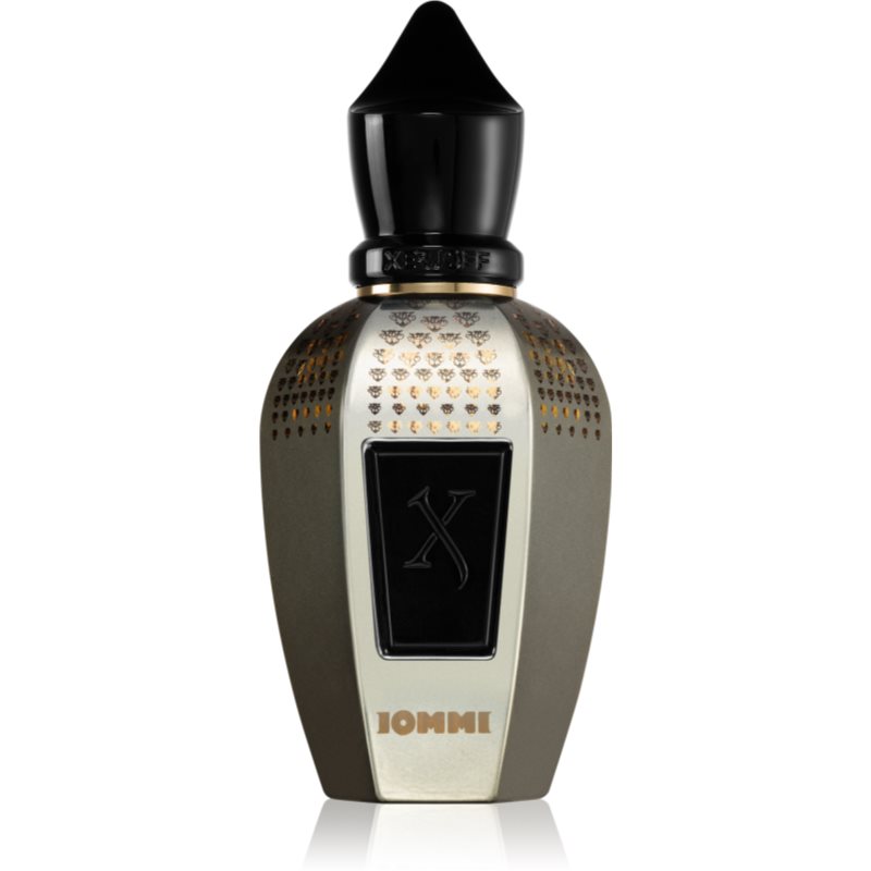 Xerjoff Tony Iommi Monkey Special perfume unisex 50 ml
