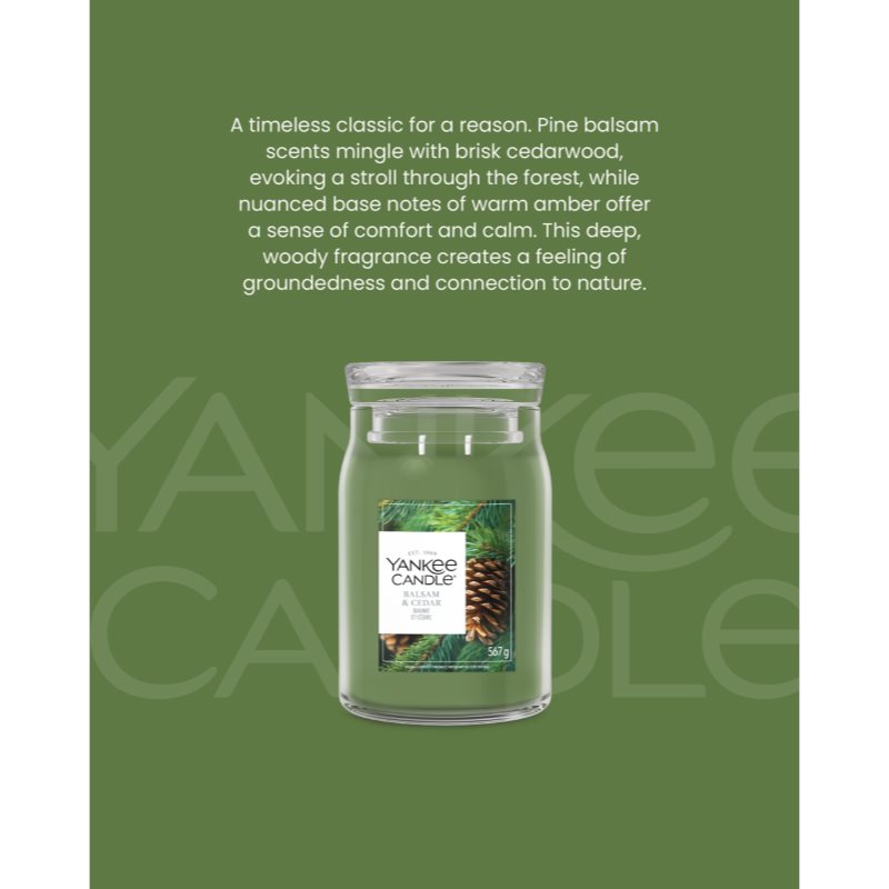 Yankee Candle Balsam & Cedar Fireside votivní svíčka 37 g (obrázek 3)