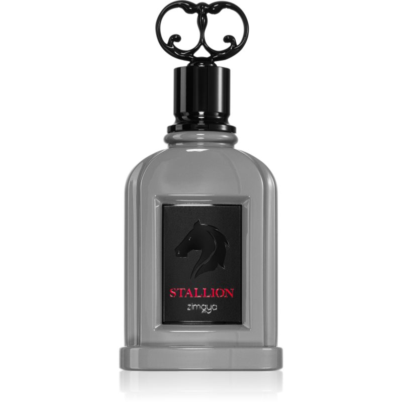 Zimaya Stallion parfumovaná voda pre mužov 100 ml