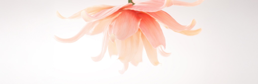 Kerastase Gloss Absolu Middle Banner SP