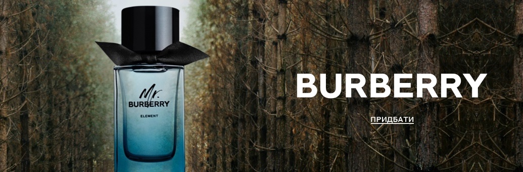 Burberry Mr. Burberry Element
