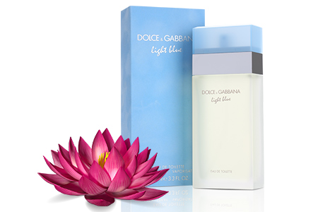 Dolce & Gabbana