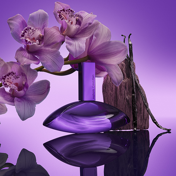 bold elixir