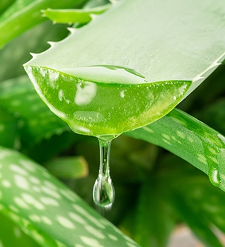 Aloes do picia i w tabletkach | Notino