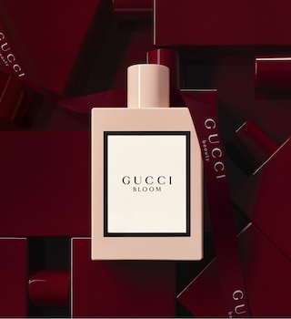Gucci guilty absolute notino clearance