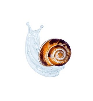snail gel