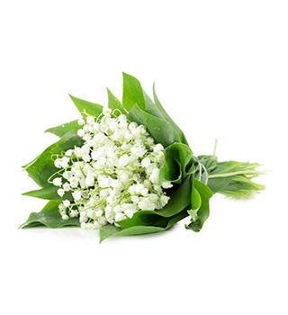 Lelietjes van dalen parfum