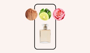 others_inpiration_Fragrance-finder_25_20250506_23