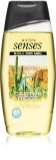 Avon Senses Cactus Ridge sprchový gel na tělo a vlasy pro muže Avon Senses Cactus Ridge sprchový gel na tělo a vlasy pro muže