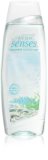 Avon Senses Freshness Collection Pure relaxační sprchový gel Avon Senses Freshness Collection Pure relaxační sprchový gel