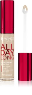 AA Wings of Color All Day Long Long Lasting Concealer correcteur liquide teinte 501 Vanilla 6.2 g