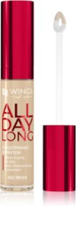 AA Wings of Color All Day Long Long Lasting Concealer υγρό κονσίλερ