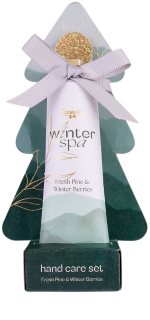 Accentra Winter Spa coffret para mãos e unhas