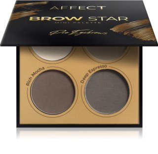 Affect Brow Star paleta puderastih nijansi za obrve 4x2 g
