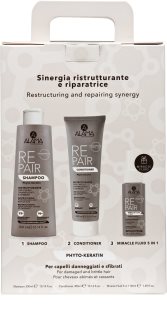 Alama Professional Repair Gift Box Kinkekomplekt kahjustatud juustele