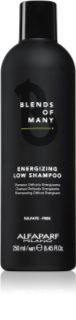 Alfaparf Milano Blends of Many Energizing energisoiva shampoo hennoille ja latteille hiuksille 250 ml