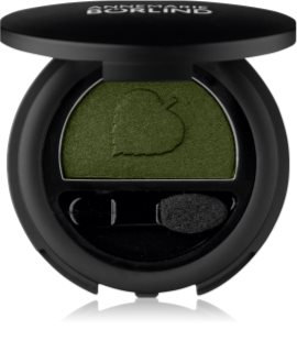ANNEMARIE BÖRLIND DEKORATIVE Kauapüsiv lauvärv aplikaatoriga varjund Dark Green 2 g