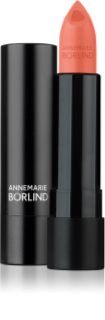 ANNEMARIE BÖRLIND DEKORATIVE Toitev huulepulk varjund Peach 4.2 ml
