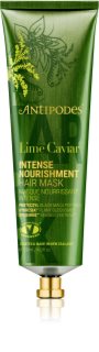 Antipodes Lime Caviar Intense Nourishment Hair Mask intenzivně vyživující maska na vlasy 120 ml